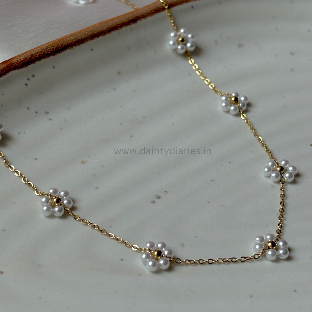 Sophia Chain
