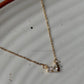 Kelly Chain