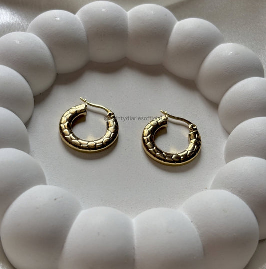 Chloe Hoops